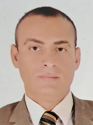 Amr Mohamed Taher Arafat